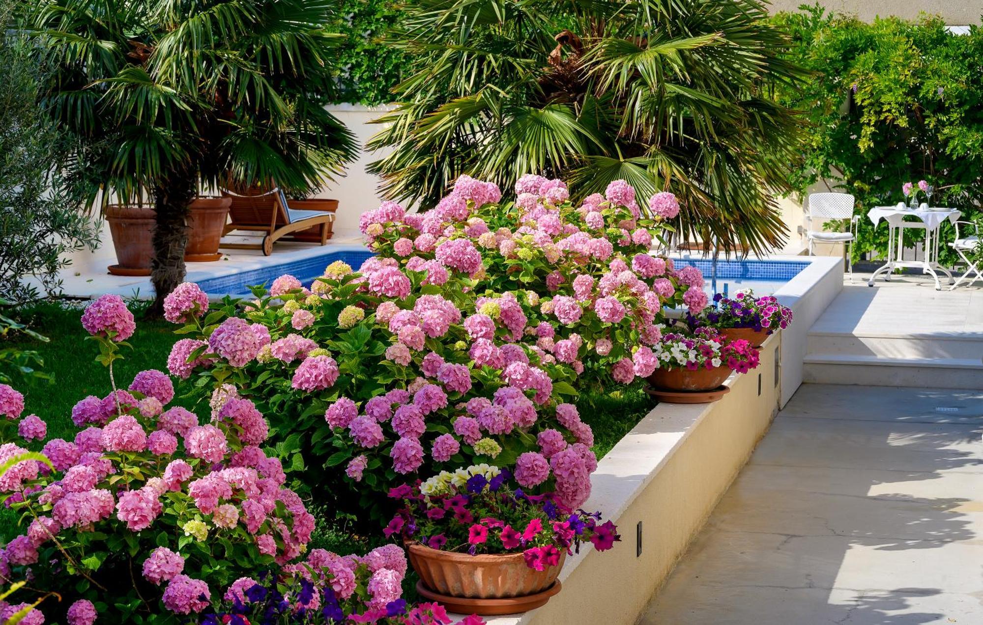 Bed & Breakfast Palace Schoen Milesi 4*